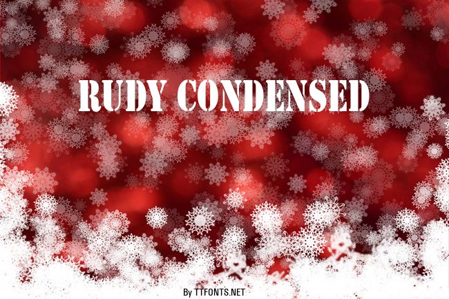Rudy Condensed example